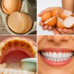 Risks of Using a Cut Onion the Next Day: What You Need to Know