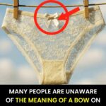 How to Make Bay Leaf Oil and Why It’s a Hidden Remedy for Pain & Inflammation