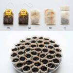 Turn Your Harvest into Art: The Lost Art of the Garlic Braid