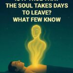 How to Use Cloves Against Bedbugs: A Practical, Step-by-Step Guide