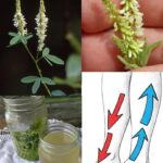 Heating at Night: Should You Turn It Off or Just Lower It? Experts Reveal the Golden Rule for Truly Reducing the Bill