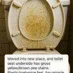 The Must-See Tip is Here