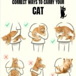 Why Some Seniors Decline After Moving to Nursing Homes