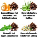 Burdock Root: The Ancient Blood-Cleansing Herb and How to Use It Now