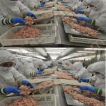 Why Airline Staff Secretly Hate Ribbons, Straps, and Tags on Luggage