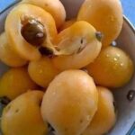 Doctors reveal that eating lettuce in winter causes …