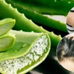 Making a New Year’s Tree from Tree Cuttings