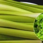 Did You Know That Waking Up At 3 Or 4 In The Morning Is A Clear Sign Of